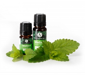Melissa officinalis